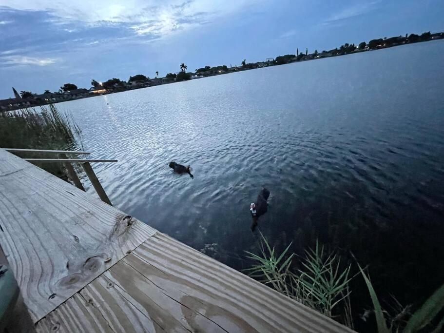 SuperVilla - Lakefront - Sunsets, Kayaks, Grill Fort Lauderdale Exteriör bild